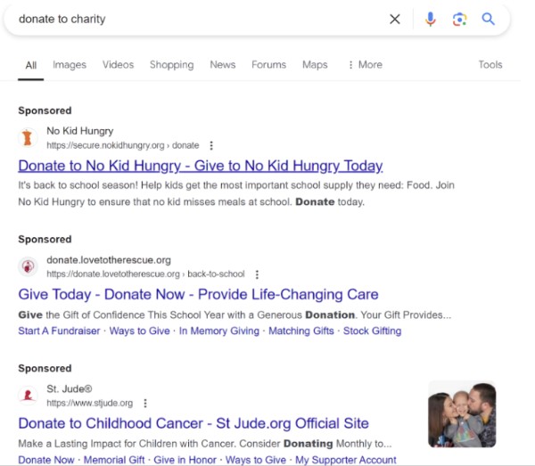 What Do Google Grant Ads Look Like?