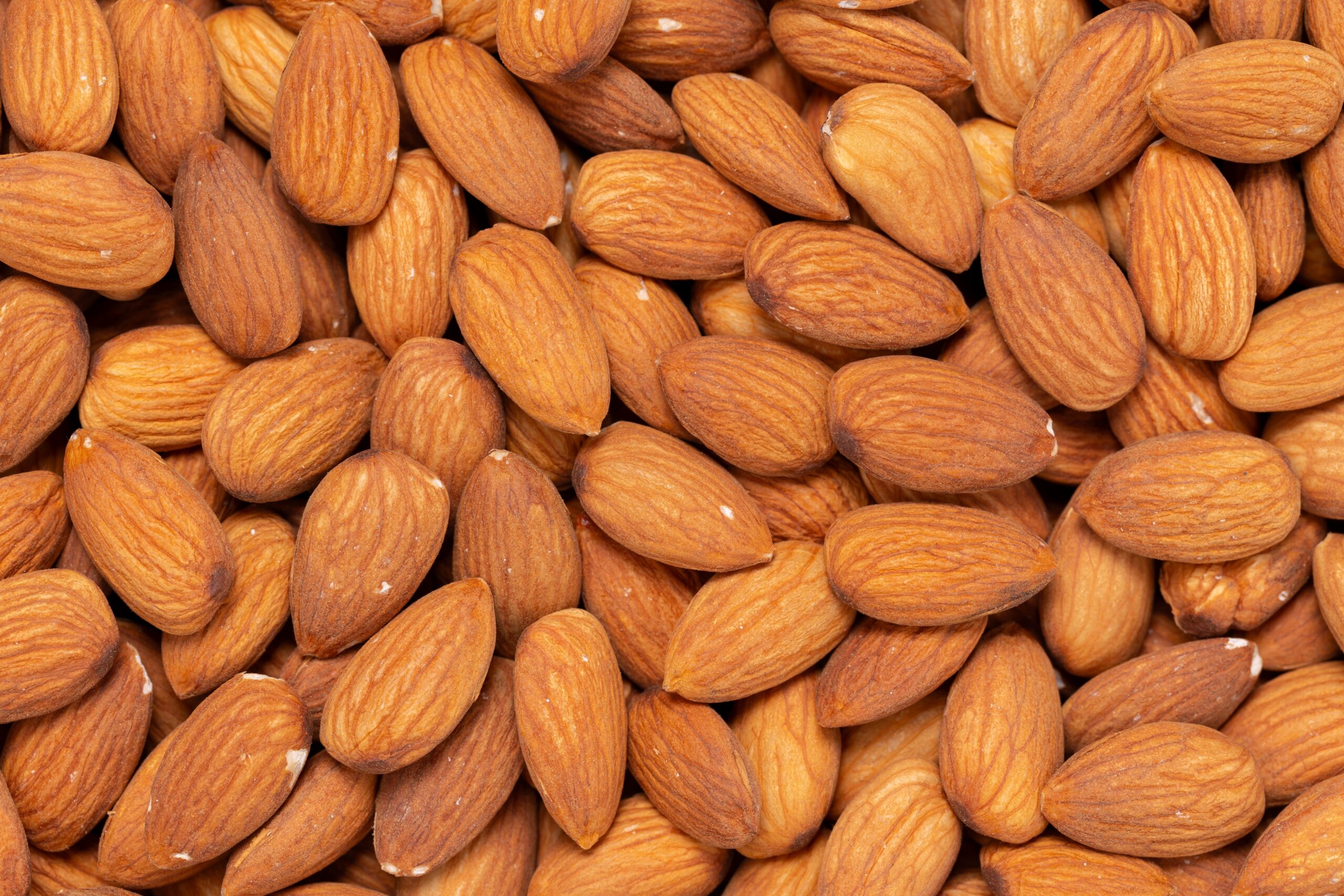 Almond Ingredients Supplier